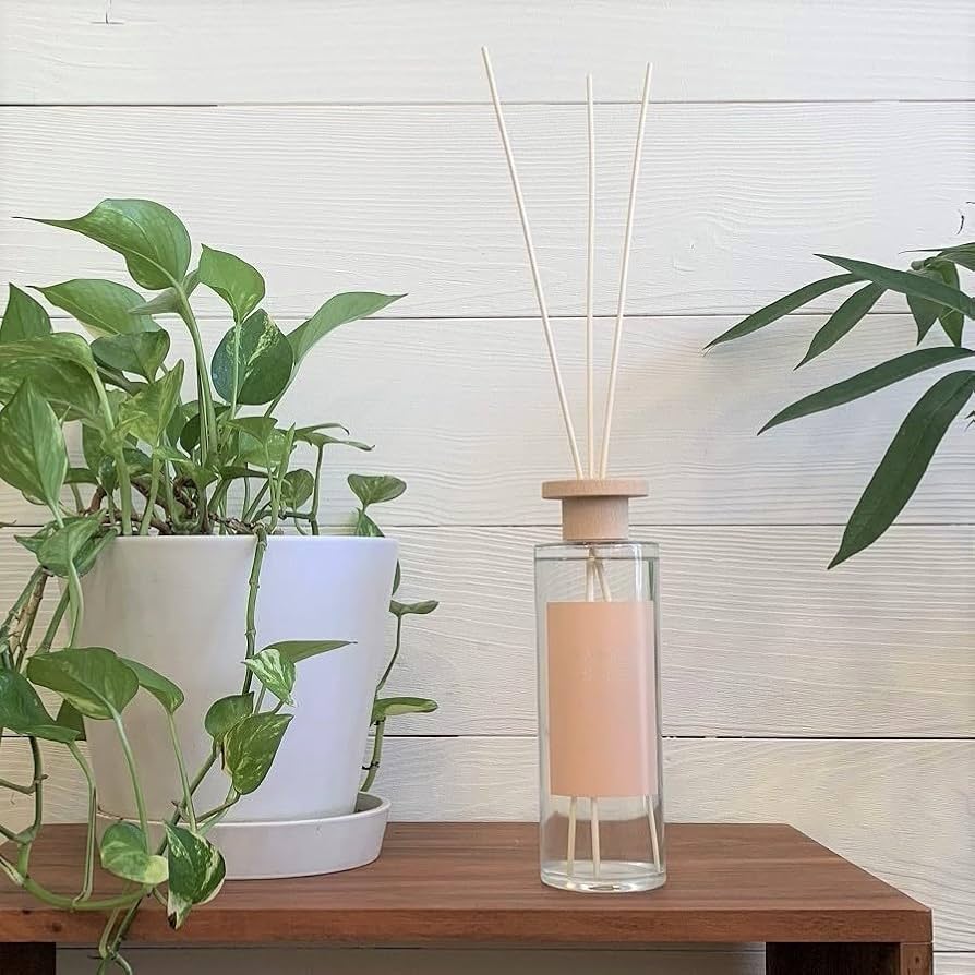 Amazon | [SHISEI] ディフューザー ルームフレグランス M(300ml